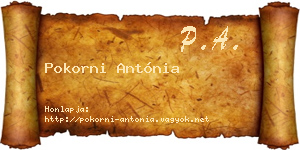 Pokorni Antónia névjegykártya